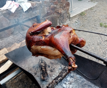 Pobyt na kolách - Lužické hory 5.-12.7.2020