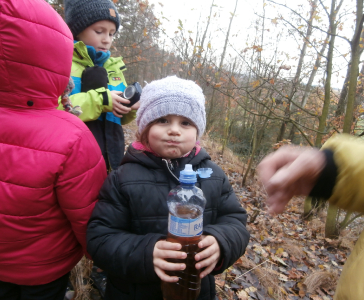 17.11.2016 Pochod Za Zdravim