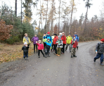 17.11.2016 Pochod Za Zdravim