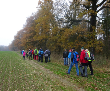 Pochod 17.11.2017